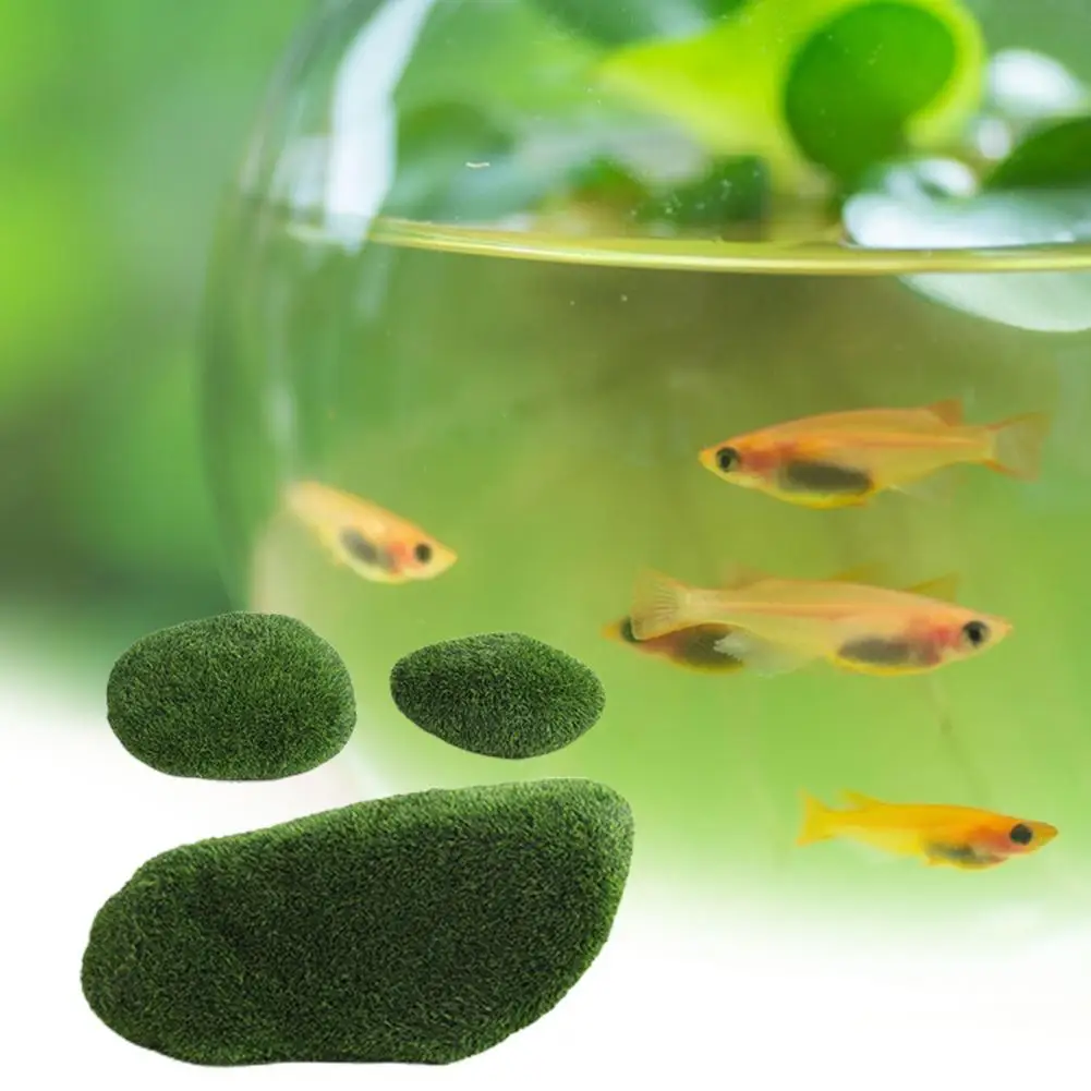 Aquarium Moss Rock 5Pcs/Set Beautiful Small Colorfast Fish Shrimp Tank Green Moss Plant Pebble Decor Fish Tank Supplies
Aquarium Moss Rock 5Pcs/Set Beautiful Small Colorfast Fish Shrimp Tank Green Moss Plant Pebble Decor Fish Tank Supplies