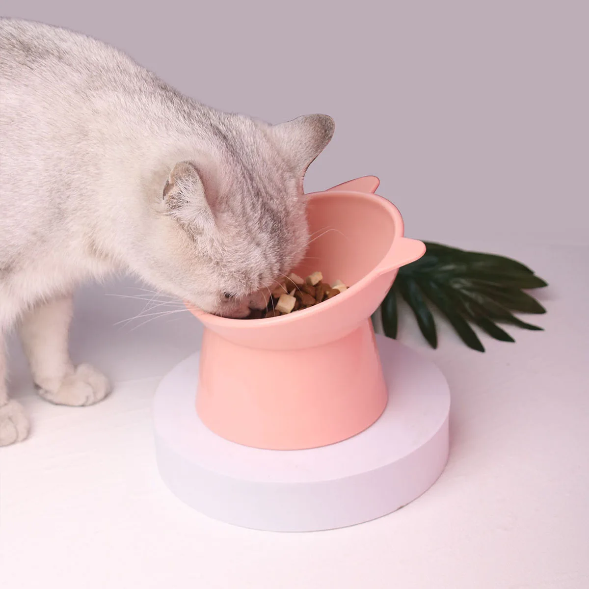 Pet Cat High-footed Bowl Solid Color Plastic Neck Guard Dog Bowl Feeding Anti-overturn Oblique Mouth Drinking Water Dog Pet Bowl
Pet Cat High-footed Bowl Solid Color Plastic Neck Guard Dog Bowl Feeding Anti-overturn Oblique Mouth Drinking Water Dog Pet Bowl