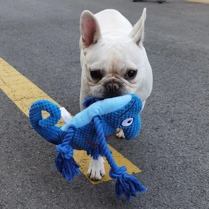 Dog Chew Toy Bite Resistant Plush Doll Cotton Rope Knot Interactive Playthings Squeaky Tug-of-war Toys Pet Supplies
Dog Chew Toy Bite Resistant Plush Doll Cotton Rope Knot Interactive Playthings Squeaky Tug-of-war Toys Pet Supplies
