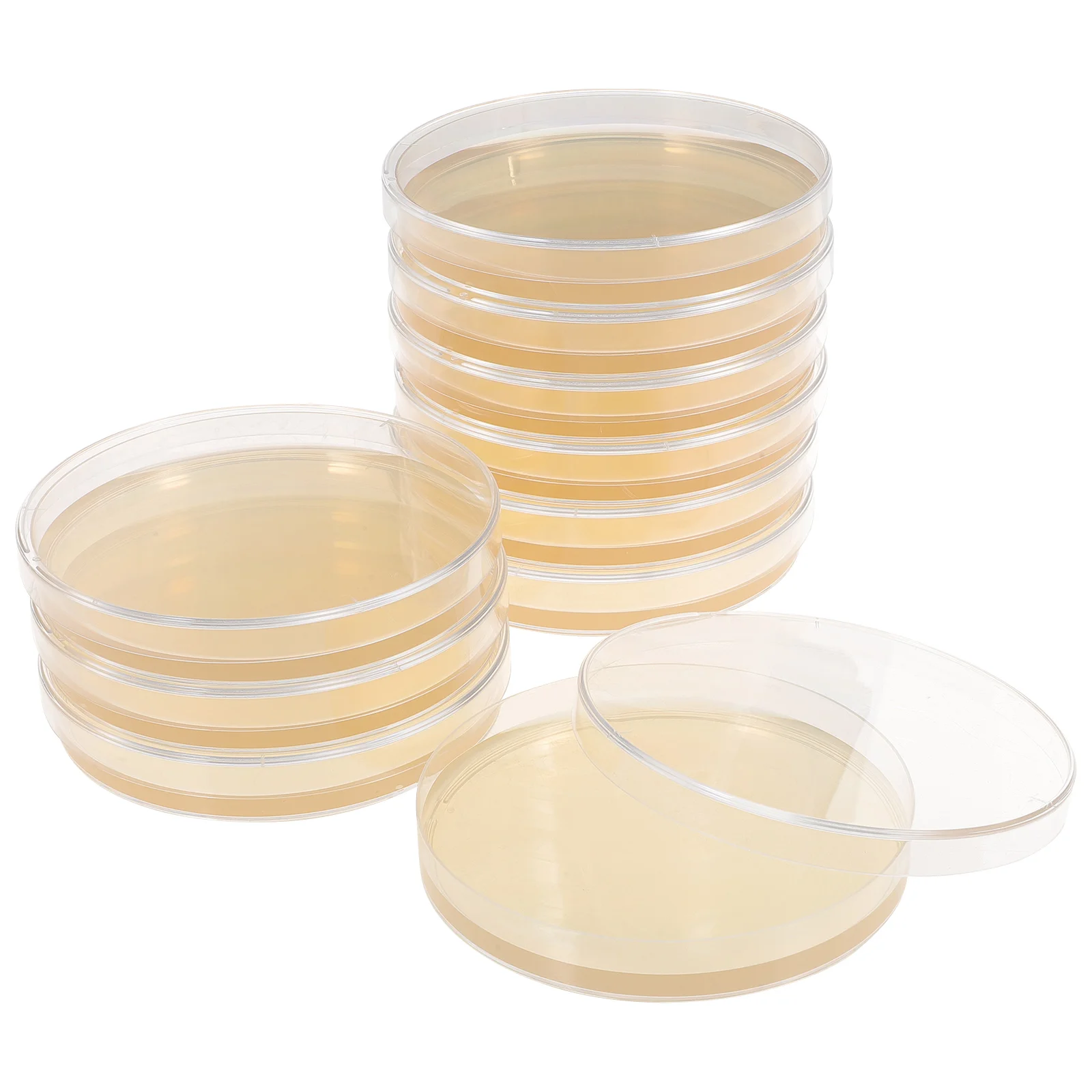 10 Pcs Colombia Prepoured Agar Petri Dishes Plates Experiment Plastic Plants Kid Tools Mushroom
10 Pcs Colombia Prepoured Agar Petri Dishes Plates Experiment Plastic Plants Kid Tools Mushroom