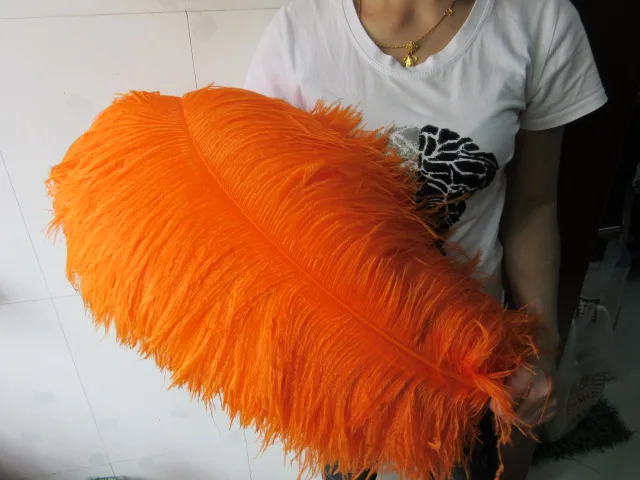 wholesale Quality 10pcs perfect natural Large feathers Pink ostrich feather 26-28inch / 65-70cm decoration diy wedding
wholesale Quality 10pcs perfect natural Large feathers Pink ostrich feather 26-28inch / 65-70cm decoration diy wedding
