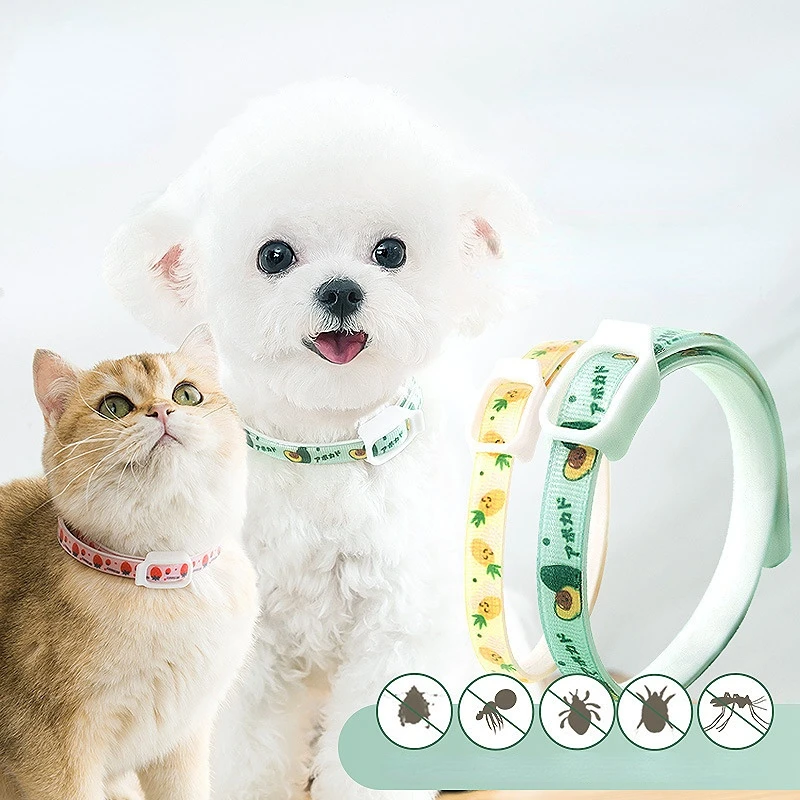 Dog repellent collar cat anti-flea collar anti-lice collar in vitro collar pet flea ring pet supplies out
Dog repellent collar cat anti-flea collar anti-lice collar in vitro collar pet flea ring pet supplies out