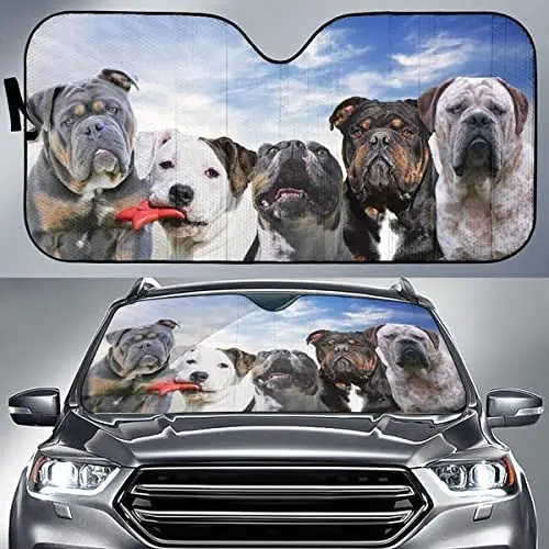 3D Funny Olde English Bulldogge Family Blue Sky Pattern Car Sunshade, Olde English Bulldogge Car Window Sun Cover, Car Windshiel
3D Funny Olde English Bulldogge Family Blue Sky Pattern Car Sunshade, Olde English Bulldogge Car Window Sun Cover, Car Windshiel