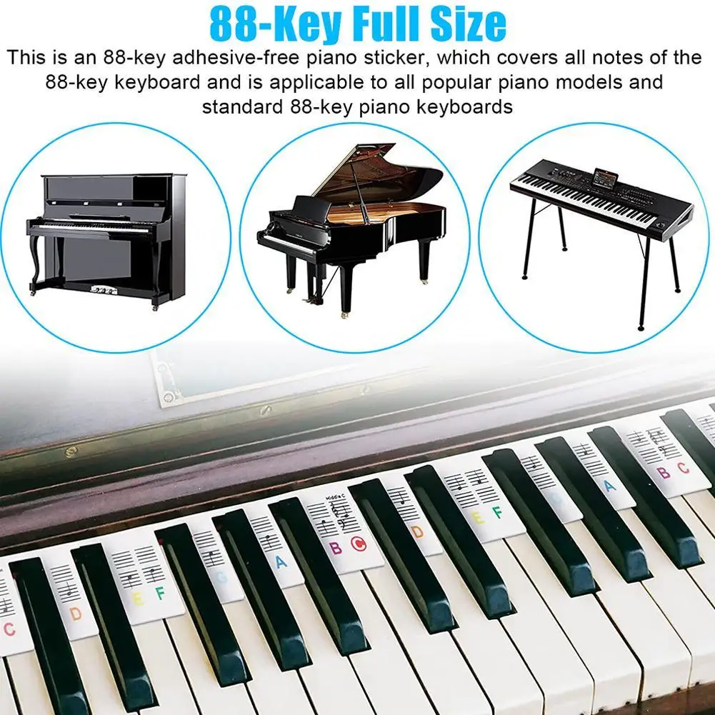 Piano Keyboard Stickers Removable Key Labels Piano Keyboard Note Labels 61 Keys 88 Keys For Piano Fingering Paste-free Hand
Piano Keyboard Stickers Removable Key Labels Piano Keyboard Note Labels 61 Keys 88 Keys For Piano Fingering Paste-free Hand