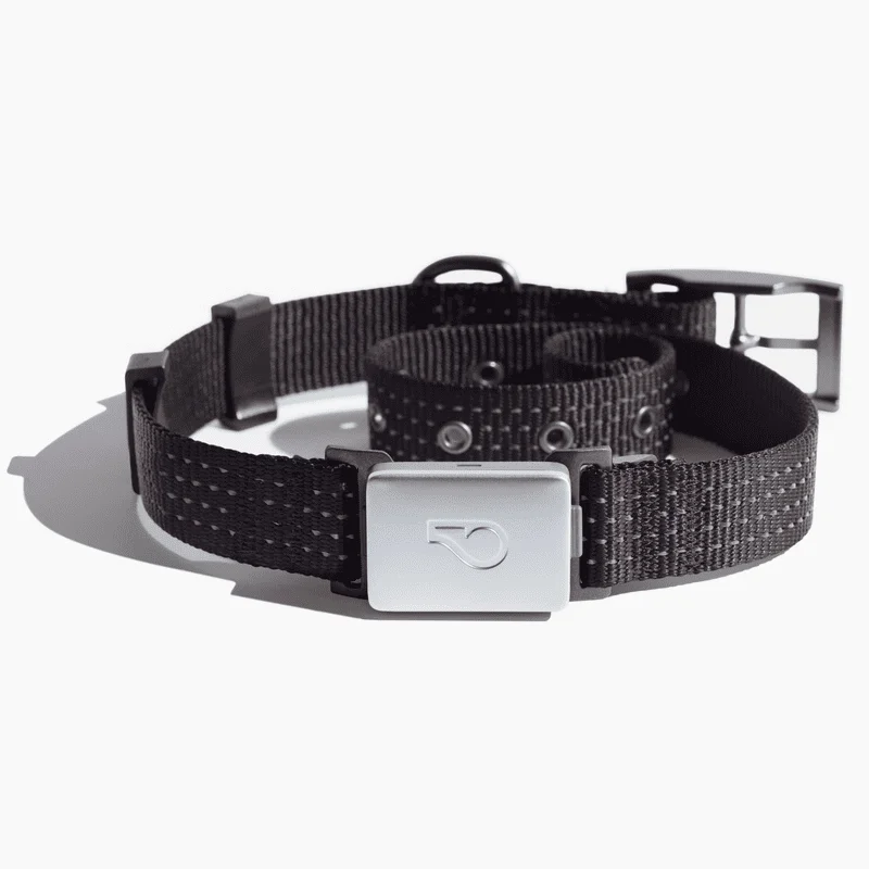 Smart Collar Kit - GPS location, Health & Fitness - Waterproof GPS Pet Tracker with interchangeable batteries, Shadow (Black), S
Smart Collar Kit - GPS location, Health & Fitness - Waterproof GPS Pet Tracker with interchangeable batteries, Shadow (Black), S
