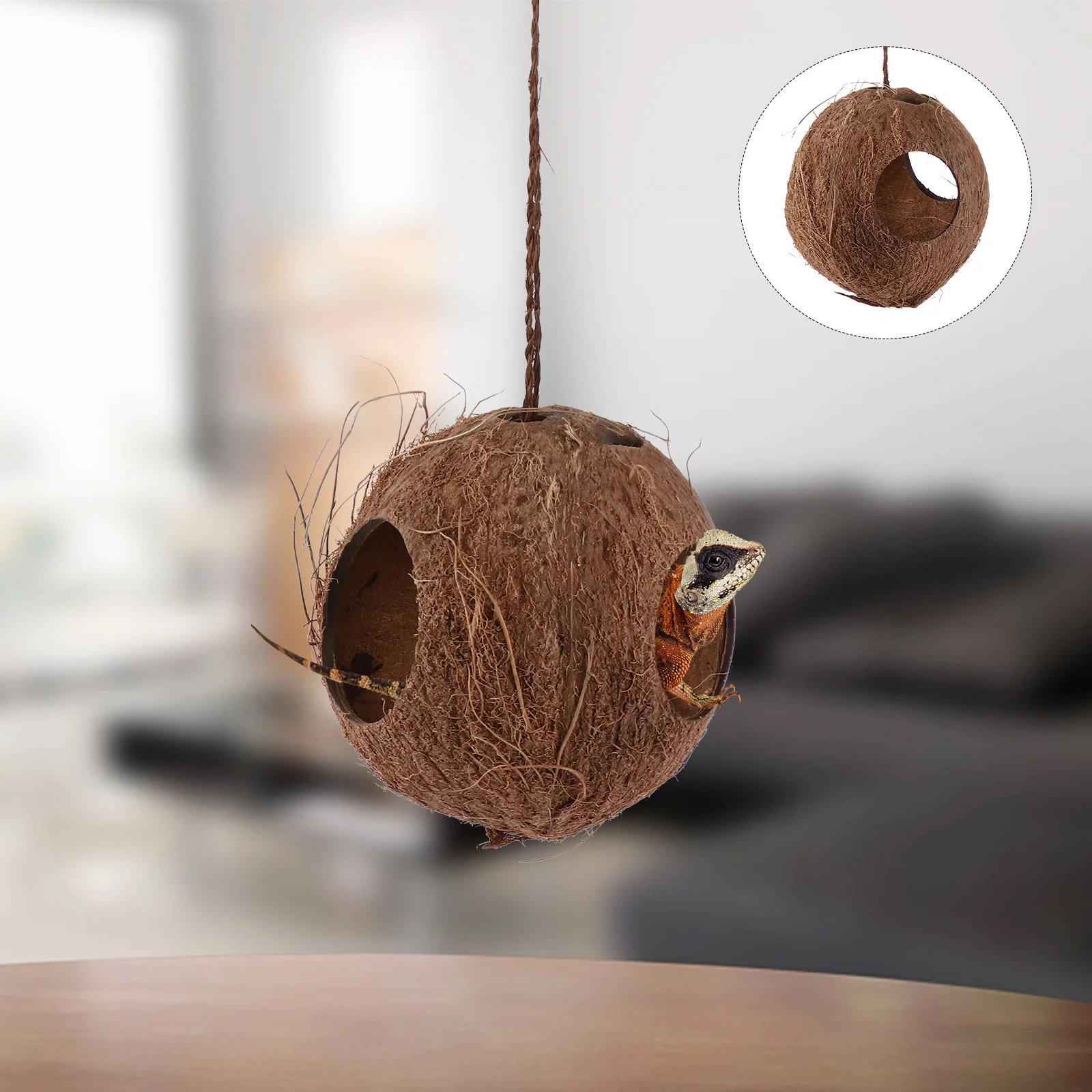 Reptilebird Hut House Gecko Cave Hanging Hide Lizardaccessories Hideoutbirds Hideaway Natural Swing Hiding Hole Ladder Escape
Reptilebird Hut House Gecko Cave Hanging Hide Lizardaccessories Hideoutbirds Hideaway Natural Swing Hiding Hole Ladder Escape