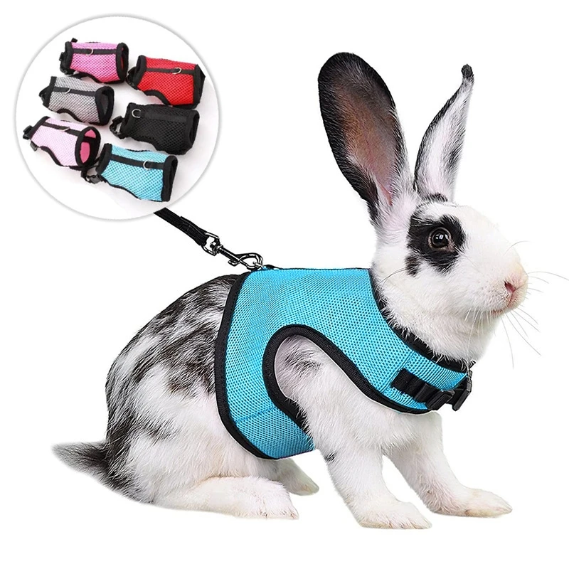 Mutil-Colors Breathable Stylish Vest Small Pet Carrier Bag Adjustable Soft Harness And Elastic Leash Set For Rabbits
Mutil-Colors Breathable Stylish Vest Small Pet Carrier Bag Adjustable Soft Harness And Elastic Leash Set For Rabbits