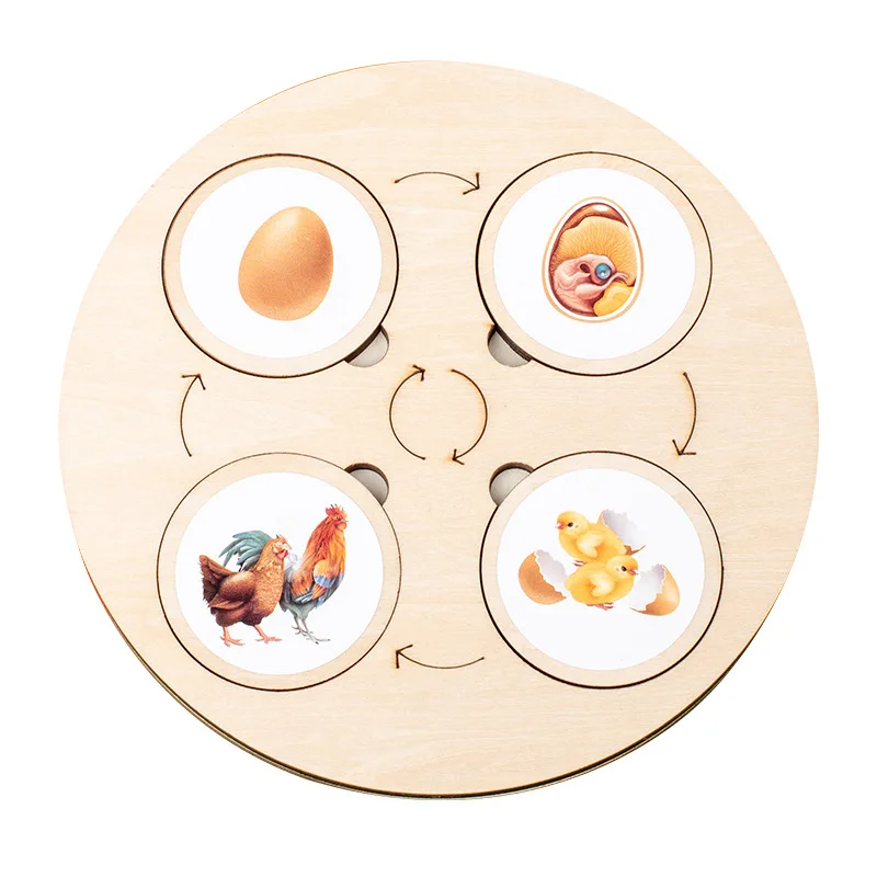 Early Educational Life Cycle Board Montessori Kit Biology Science Toys Kids Children Sensory Develpment Animal Sorting Wooden
Early Educational Life Cycle Board Montessori Kit Biology Science Toys Kids Children Sensory Develpment Animal Sorting Wooden