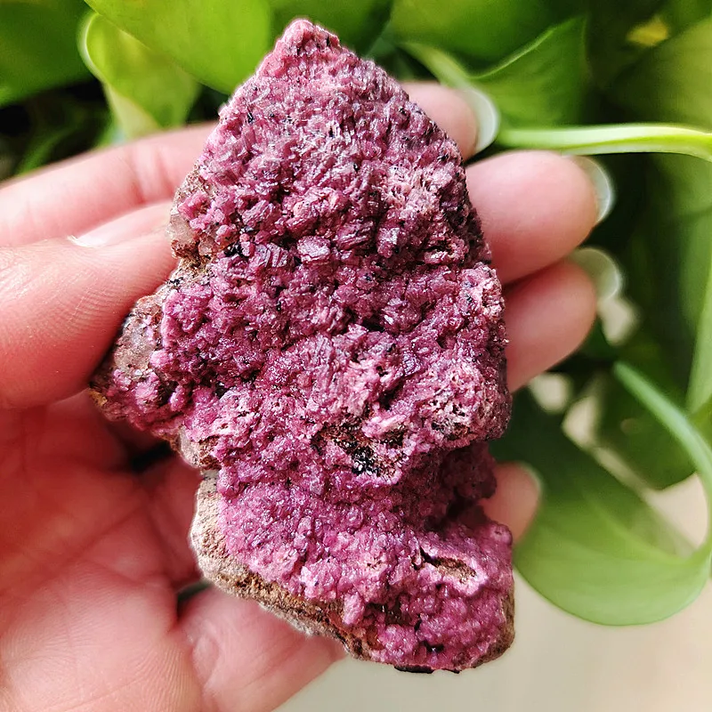 Natural stone Cobaltocalcite pink crystals decorated to improve feng shui rare Cobalto calcites chakras healing crystals
Natural stone Cobaltocalcite pink crystals decorated to improve feng shui rare Cobalto calcites chakras healing crystals