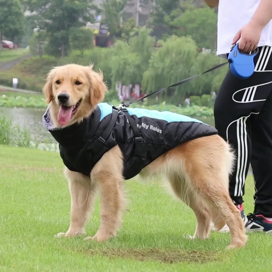 Autumn Winter Dog Clothes Warm Reflective Dog Clothes Thickening The Dog Jacket Pet Cotton-padded Clothes Pet Clothing Supplies
Autumn Winter Dog Clothes Warm Reflective Dog Clothes Thickening The Dog Jacket Pet Cotton-padded Clothes Pet Clothing Supplies
