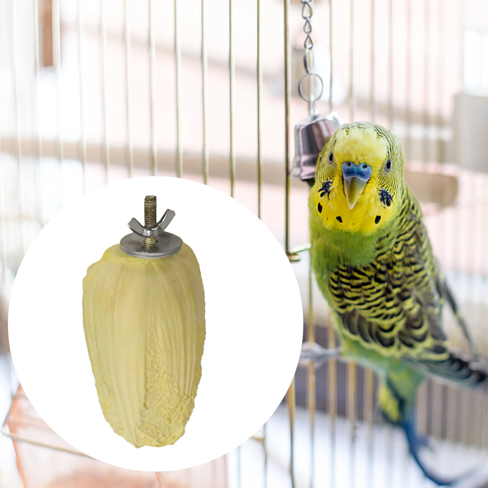 Pet Molar Stone Toys Mineral Teeth Grinding Stone Vegetable Springboard Molars Small Pet Accessories For Rabbit Hamster Parrot
Pet Molar Stone Toys Mineral Teeth Grinding Stone Vegetable Springboard Molars Small Pet Accessories For Rabbit Hamster Parrot