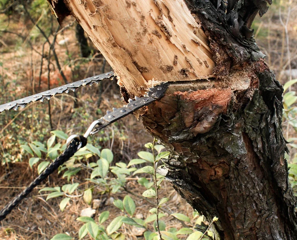 33/16/11 Tooth Portable Pocket Chainsaw 24 inch Folding Outdoor Emergency Handheld Chainsaws Cutting Hand Tools Chain Saws
33/16/11 Tooth Portable Pocket Chainsaw 24 inch Folding Outdoor Emergency Handheld Chainsaws Cutting Hand Tools Chain Saws