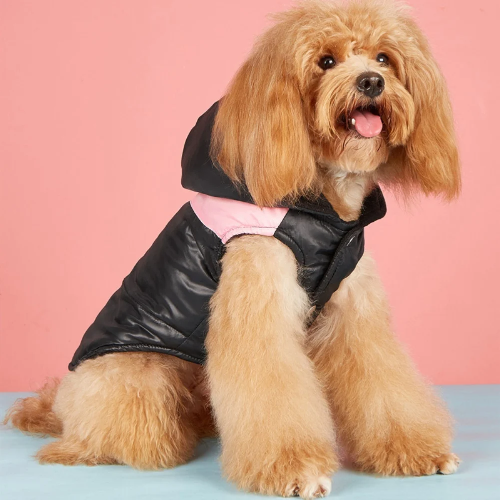 Pet clothes Thickened cotton padded clothes for winter outdoor small and medium-sized dogs with hats Warm cotton padded clothes
Pet clothes Thickened cotton padded clothes for winter outdoor small and medium-sized dogs with hats Warm cotton padded clothes