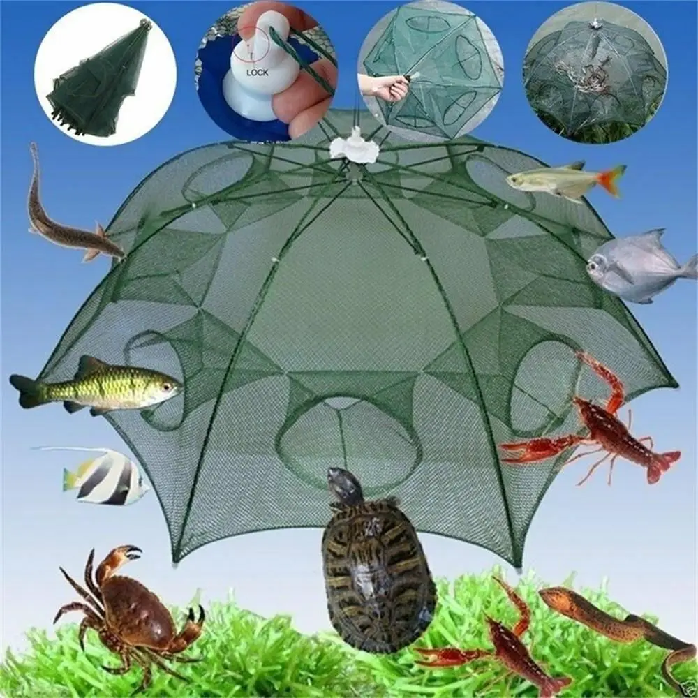 

Fishing Bait Trap Crab Net Crawdad Shrimp Cast Dip Cage Fish Minnow Foldable New