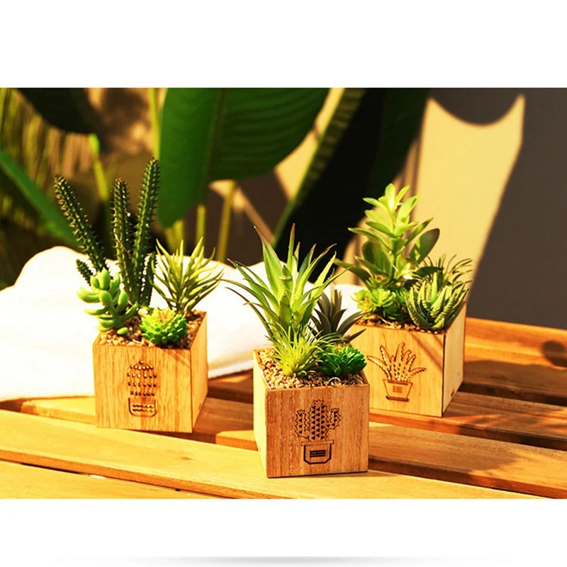Set Of 3 Artificial Succulents With LED Lights In Wooden Box, For Home/Office Valentine's Day Decorations
Set Of 3 Artificial Succulents With LED Lights In Wooden Box, For Home/Office Valentine's Day Decorations