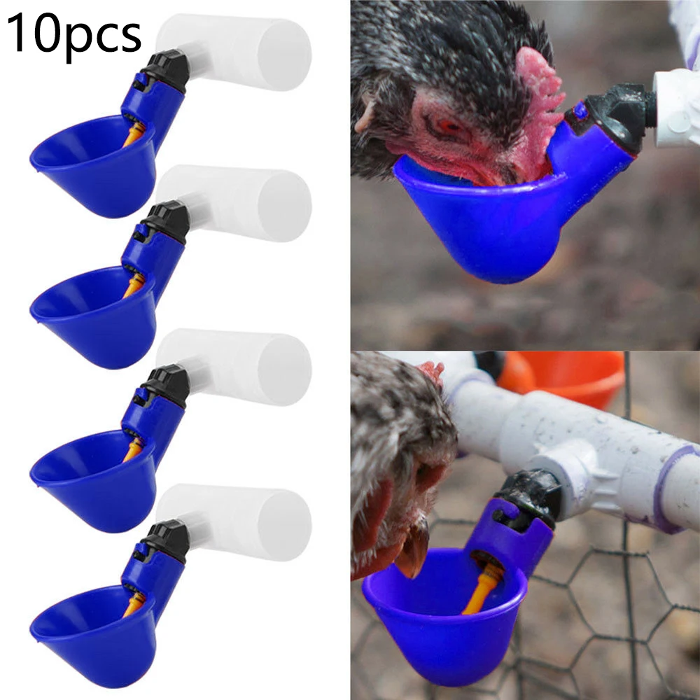 10PCS Poultry Water Drinking Cups Chicken Hen Automatic Drinkers W/ Fittings Water Drinking Cups With Fittings 2020 New
10PCS Poultry Water Drinking Cups Chicken Hen Automatic Drinkers W/ Fittings Water Drinking Cups With Fittings 2020 New