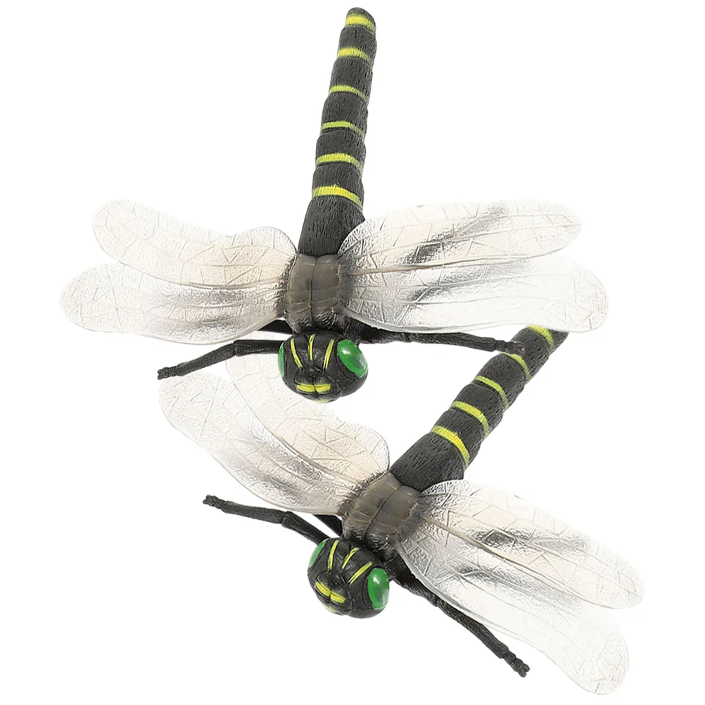 Dragonfly Toy Model Figurinefigure Insects Decor Ornament Simulation Plaything Animal Vivid Lifelike Animals Cognition Imitation
Dragonfly Toy Model Figurinefigure Insects Decor Ornament Simulation Plaything Animal Vivid Lifelike Animals Cognition Imitation