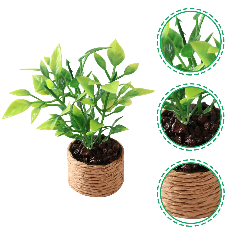 Mini Orange Tree Plants Pots Tiny Flowerpot House Miniature Bonsai Small Bonsai Plastic Artificial Fake Greenery
Mini Orange Tree Plants Pots Tiny Flowerpot House Miniature Bonsai Small Bonsai Plastic Artificial Fake Greenery