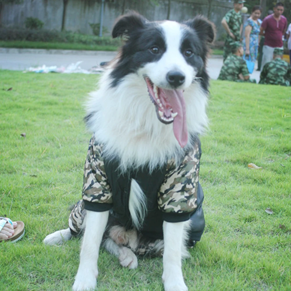 Warm Dog Clothes Winter Pet Down Jacket Puppy Coats Camouflage Clothing For Small Large Dogs French Bulldog Cats Pet Costume
Warm Dog Clothes Winter Pet Down Jacket Puppy Coats Camouflage Clothing For Small Large Dogs French Bulldog Cats Pet Costume