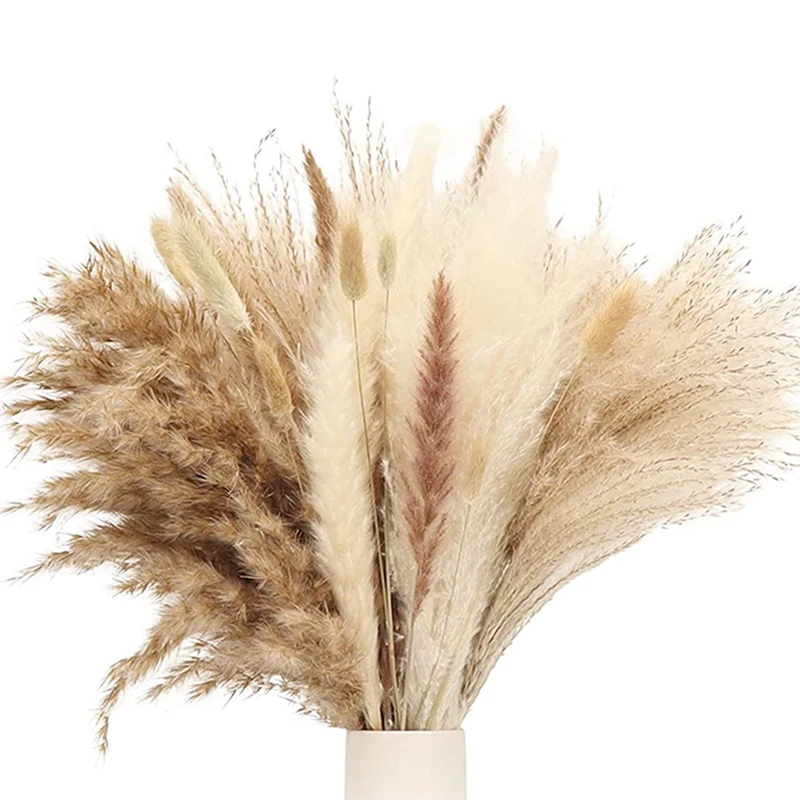 Pampas Grass Decor Tall Fluffy, Dried Grass For Floral Arrangement, Pampas Grass Plants For Wedding, Kitchen,Living Room
Pampas Grass Decor Tall Fluffy, Dried Grass For Floral Arrangement, Pampas Grass Plants For Wedding, Kitchen,Living Room