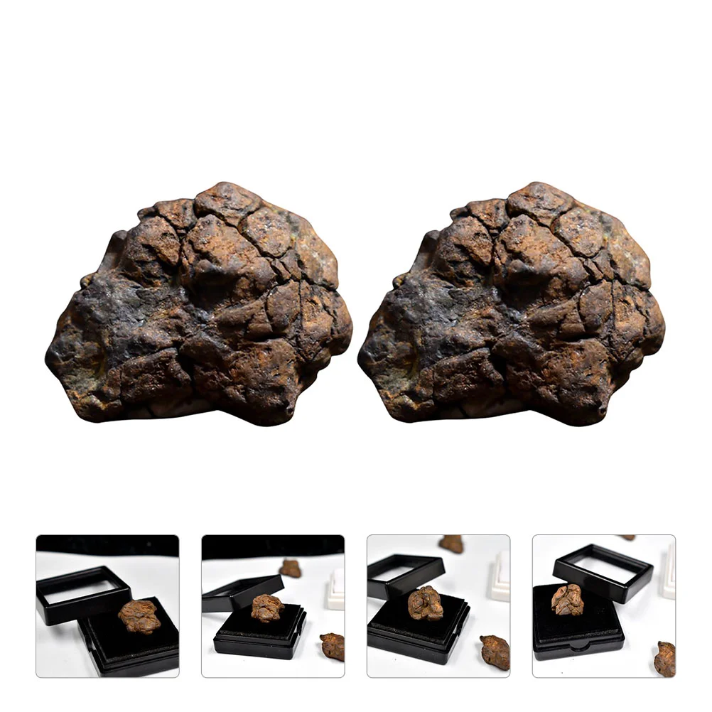 Meteorite Specimen Science Jewelrystoneeducationalclassroom Real Sculpture Fossils Pendant Decoration Campo Gemstones Cielo
Meteorite Specimen Science Jewelrystoneeducationalclassroom Real Sculpture Fossils Pendant Decoration Campo Gemstones Cielo