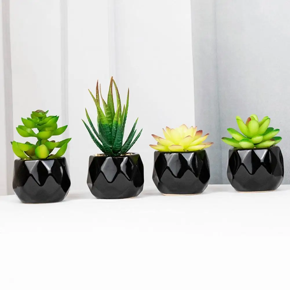Artificial for Home Artificial Plant Reusable Realistic PVC Fresh Keeping Easy Care Succulents Bonsai for Home
Artificial for Home Artificial Plant Reusable Realistic PVC Fresh Keeping Easy Care Succulents Bonsai for Home