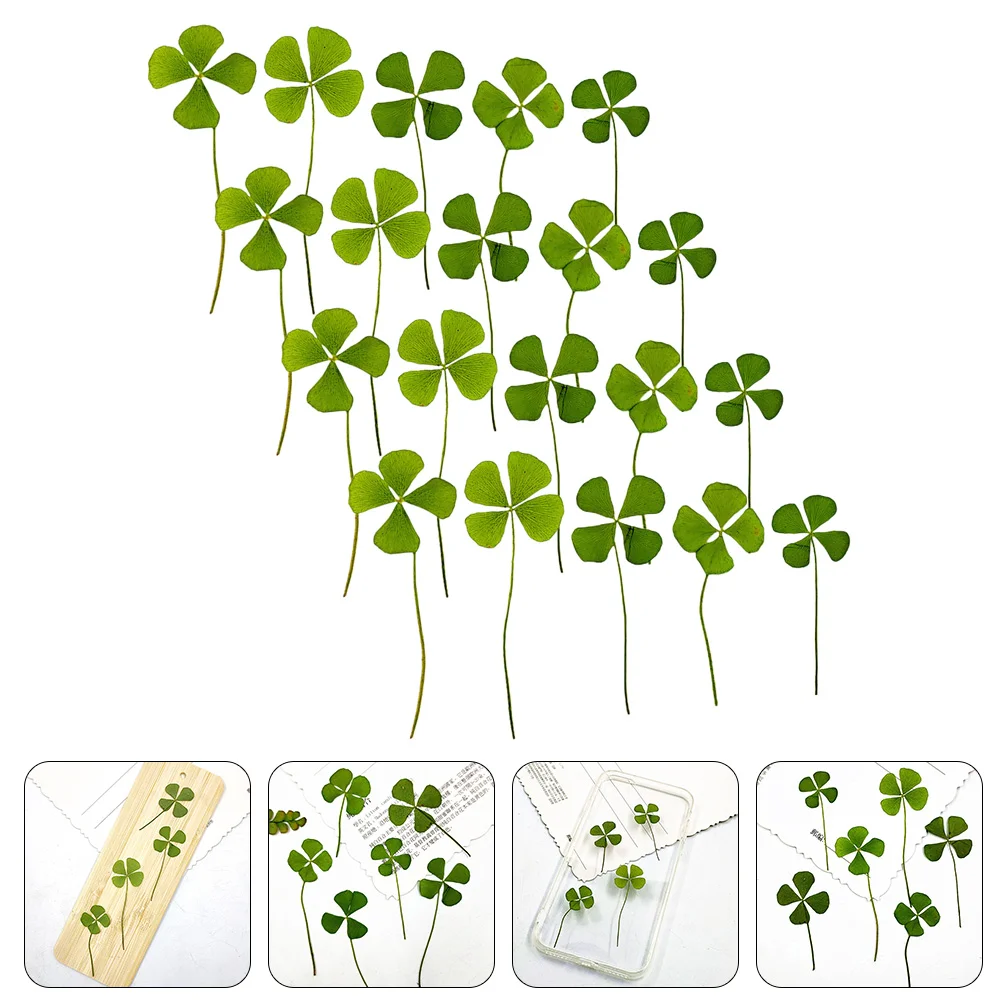 Pressed Dried Leaf Resin Four Dry Diy Flowers Leaves Shamrock Making Crafts Flower Decor Luck Day S Patric Materials Necklace
Pressed Dried Leaf Resin Four Dry Diy Flowers Leaves Shamrock Making Crafts Flower Decor Luck Day S Patric Materials Necklace