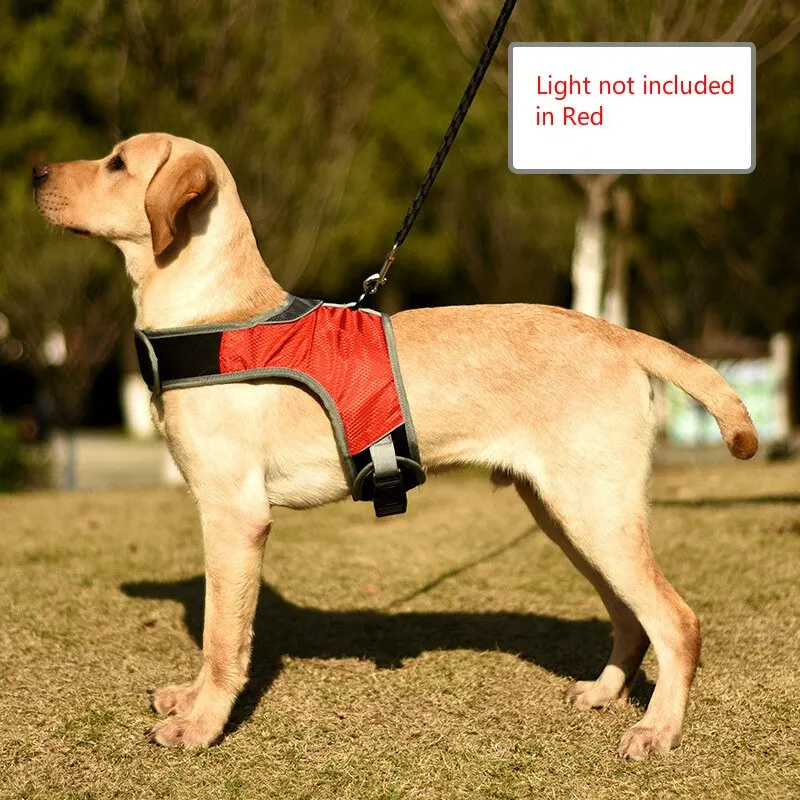 Reflective LED Luminous Dog Harness Chest Strap Vest Outdoor Safety Collar For Large Dogs Labrador Shepherd Training Supplies
Reflective LED Luminous Dog Harness Chest Strap Vest Outdoor Safety Collar For Large Dogs Labrador Shepherd Training Supplies