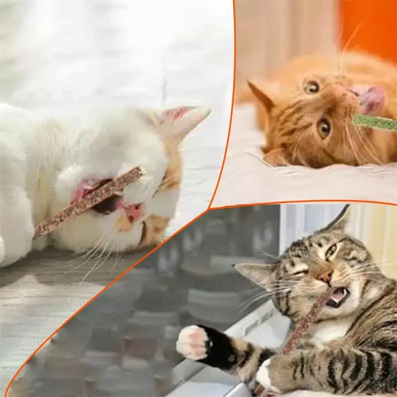 6 Sticks Cat Chew Toys 100% Natural Silvervine Molar Toothpaste Stick Catnip Suit Safety Molar Toothpaste Branch Clean
6 Sticks Cat Chew Toys 100% Natural Silvervine Molar Toothpaste Stick Catnip Suit Safety Molar Toothpaste Branch Clean