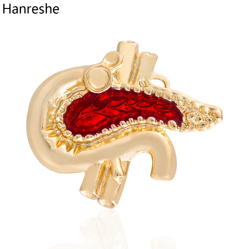 

Hanreshe Classic Liver Organ Medical Anatomy Brooch Pins Red Crystal Lapel Backpack Badge Medicine Jewelry for Doctors Nurses