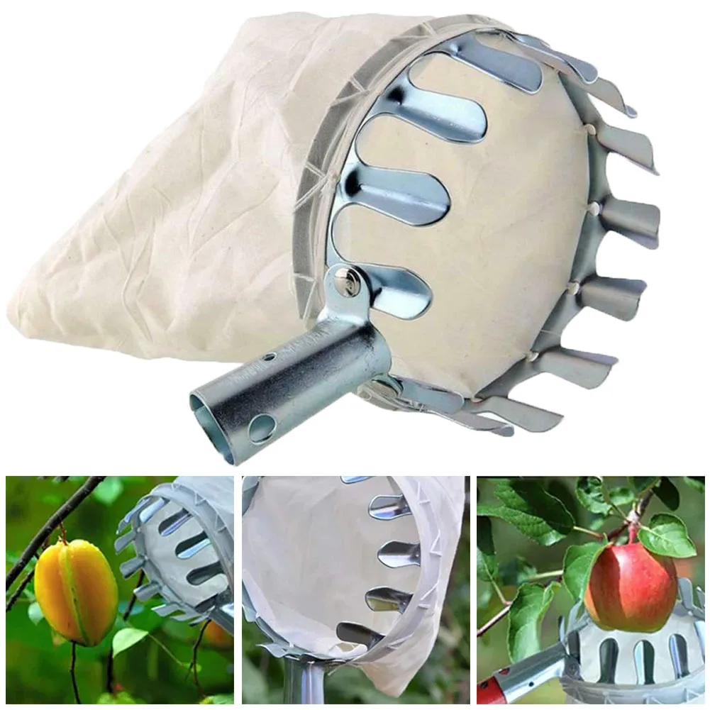 Garden Fruit Picker Orchard Apple Peach Metal Picking Tool Farm Gardening Fruit Catcher High Tree Picking Collection Tools
Garden Fruit Picker Orchard Apple Peach Metal Picking Tool Farm Gardening Fruit Catcher High Tree Picking Collection Tools