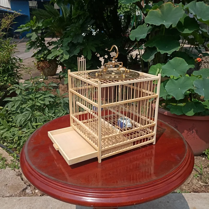 Miniature Bird Cage Ornament Holder Hanging Luxury Small Garden Cage Carrier Travel Jaula Pajaros Grande Garden Accessories
Miniature Bird Cage Ornament Holder Hanging Luxury Small Garden Cage Carrier Travel Jaula Pajaros Grande Garden Accessories