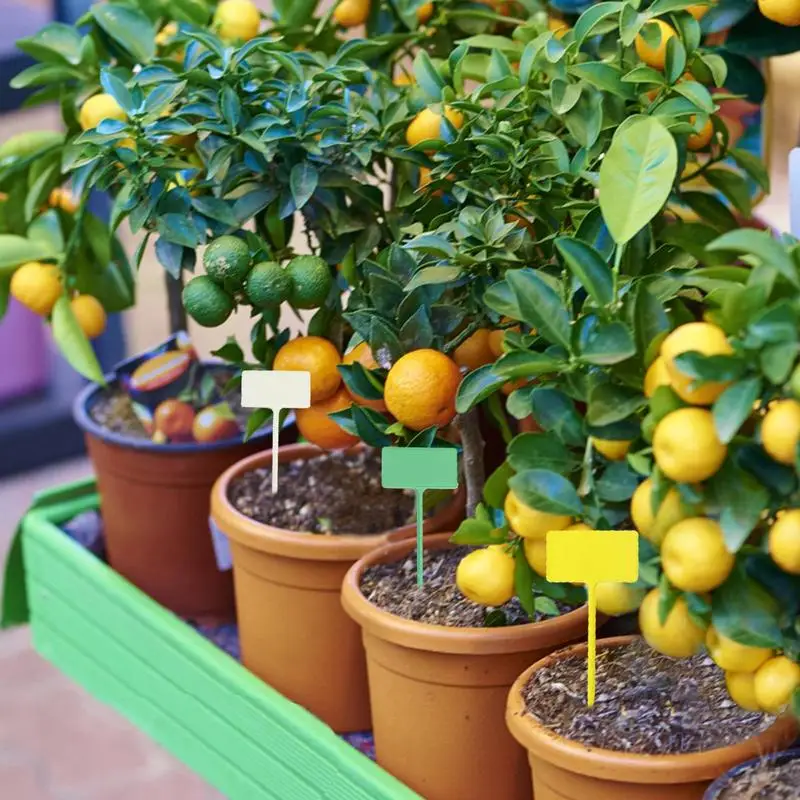 Ярлыки Т-образные для сада, 12 шт.
Ярлыки Т-образные для сада, 12 шт.