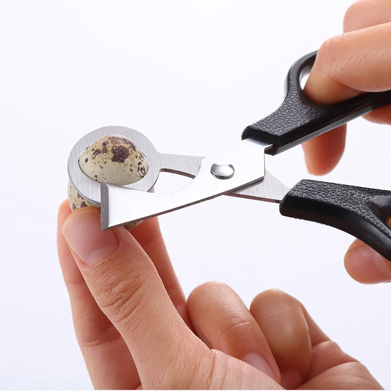 Pigeon Quail Egg Scissor Bird Cutter Opener Kitchen Tool Clipper Sale shells Scissors Cracker Cigar Stainless Steel Blade Househ
Pigeon Quail Egg Scissor Bird Cutter Opener Kitchen Tool Clipper Sale shells Scissors Cracker Cigar Stainless Steel Blade Househ