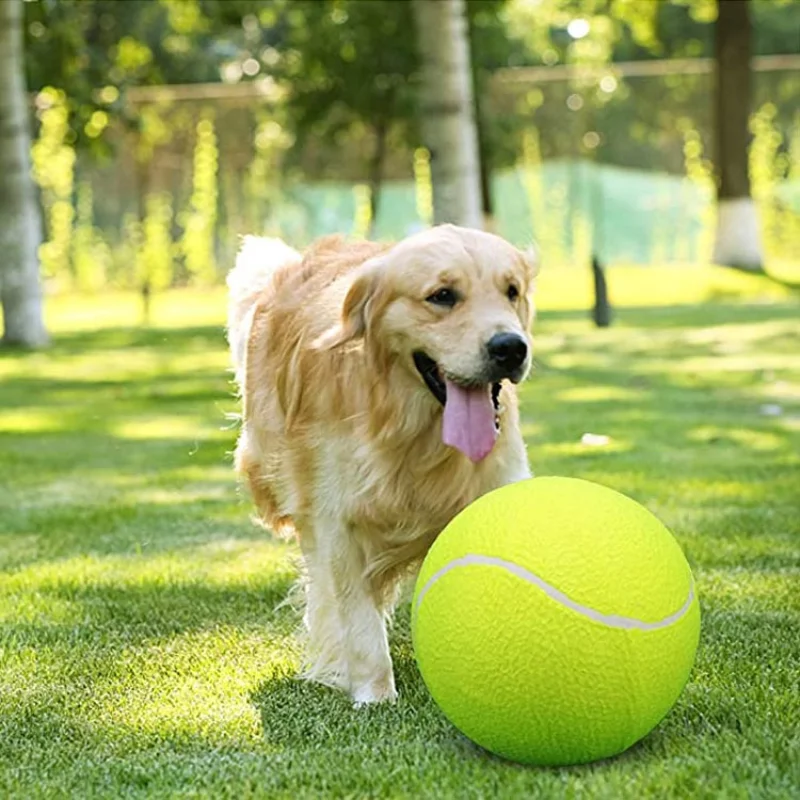 

Pet Dog Toy 9.5Inch Ball Inflatable Giant Tennis Training Chewing Product Interactive Plush Stuffed Toys Dog Accessories