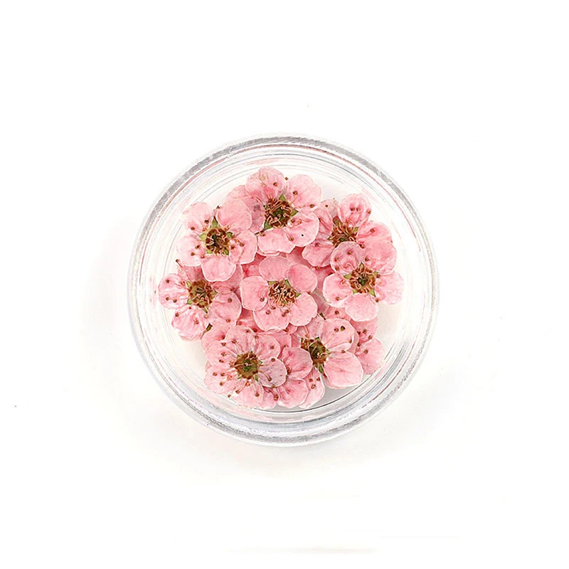 Искусственные цветы сливы PlumHOUSE для декорирования
Искусственные цветы сливы PlumHOUSE для декорирования