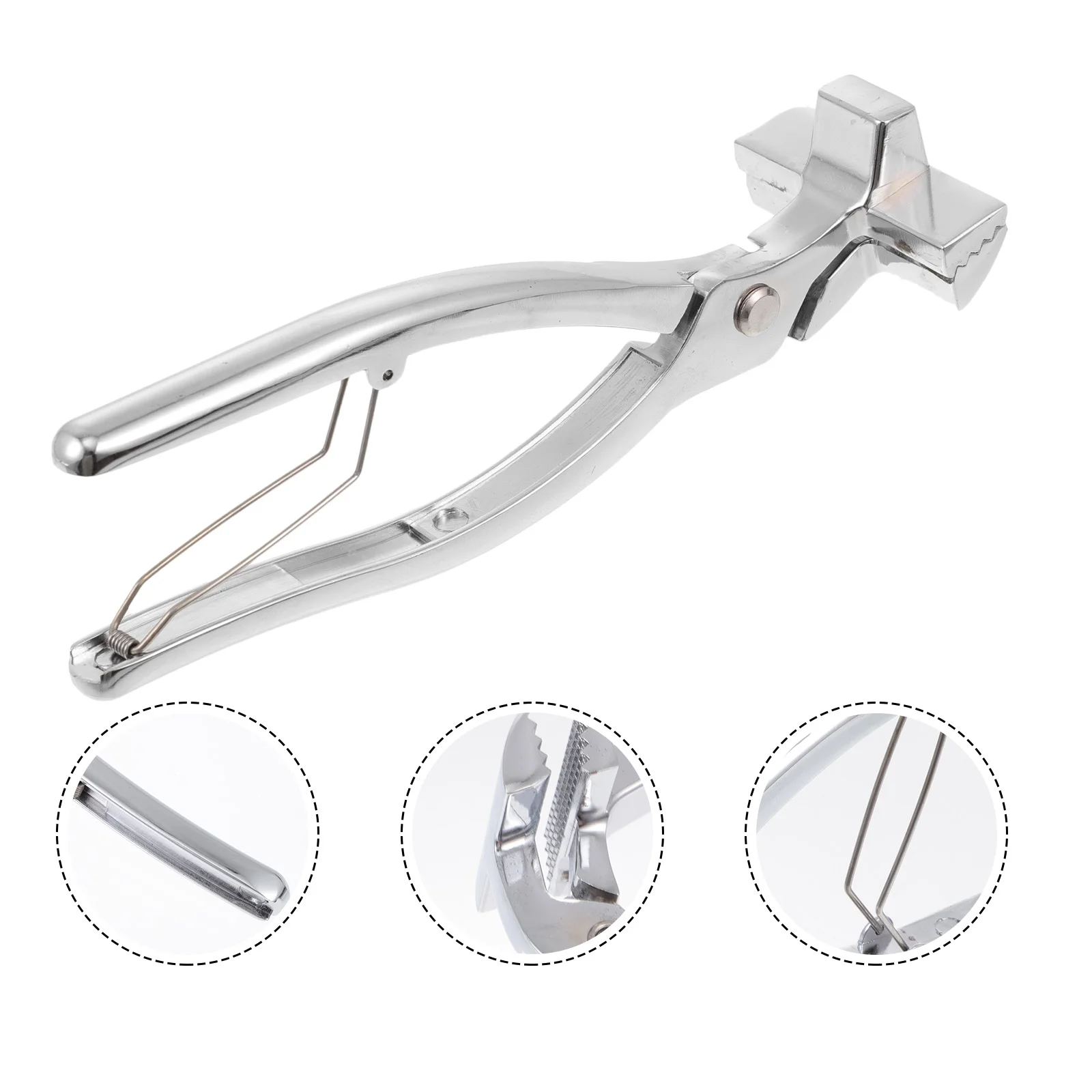 Canvas Stretcher Cloth Pliers Stretchy Painting Durable Steel Gripper Manual Tension Frame Tool Stretching
Canvas Stretcher Cloth Pliers Stretchy Painting Durable Steel Gripper Manual Tension Frame Tool Stretching