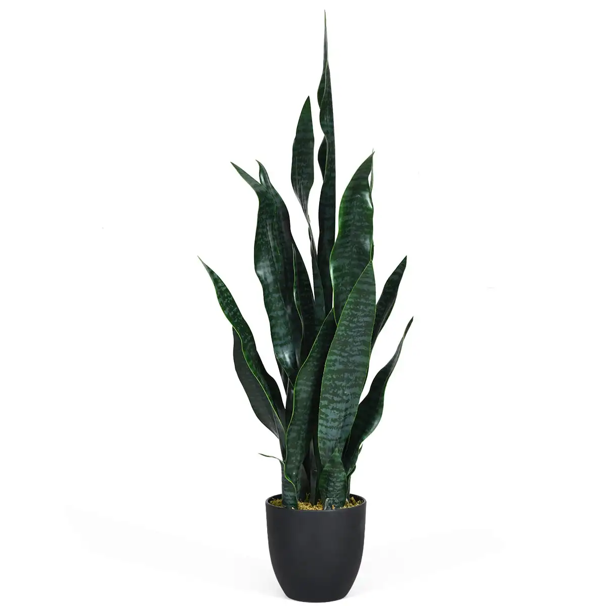 Artificial Tiger Plant Faux Agave Fake Sansevieria for Indoor-Outdoor Decoration
Artificial Tiger Plant Faux Agave Fake Sansevieria for Indoor-Outdoor Decoration
