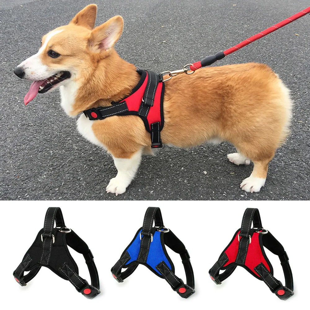 Pet Dog and Cat Adjustable Harness with Leash Reflective and Breathable for Small and Large Dog Harness Vest Pet Supplies
Pet Dog and Cat Adjustable Harness with Leash Reflective and Breathable for Small and Large Dog Harness Vest Pet Supplies