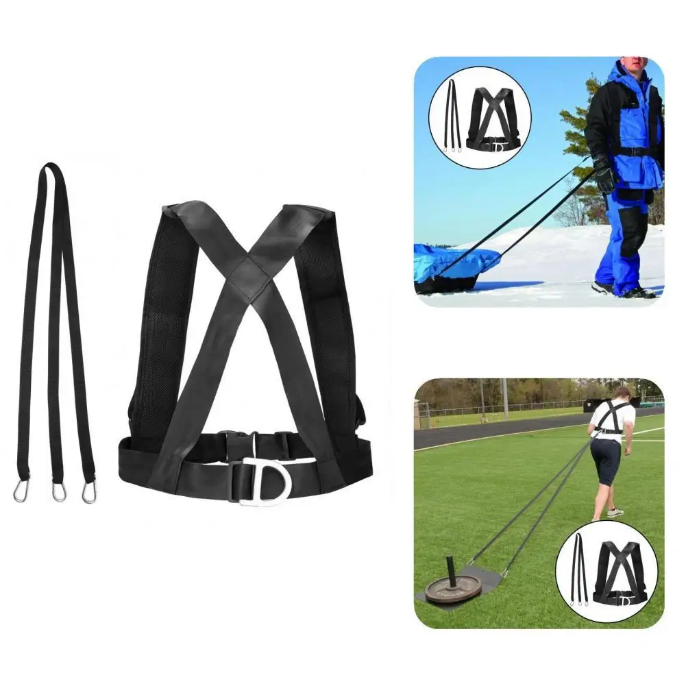 Equipment Practical Useful Tire Pulling Harness Nylon Sled Harness High Strength for Gym
Equipment Practical Useful Tire Pulling Harness Nylon Sled Harness High Strength for Gym