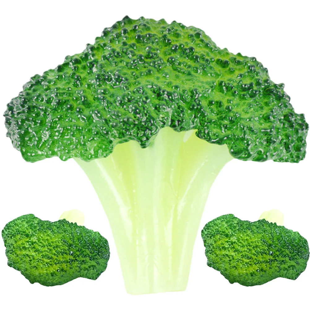 Vegetable Broccoli Artificial Fake Model Lifelike Simulation False Decoration Faux Realistic Fruit Kitchen Decorations
Vegetable Broccoli Artificial Fake Model Lifelike Simulation False Decoration Faux Realistic Fruit Kitchen Decorations