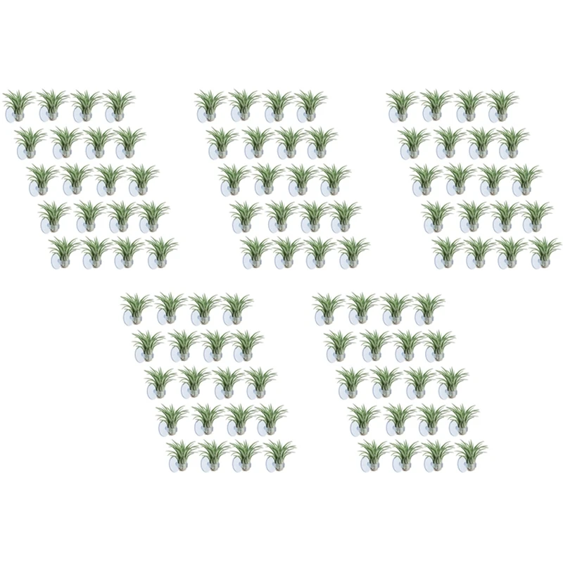 100 Pcs Air Plant Holder, Plant Pot Tillandsia Holder Air Plant Hanger With Suction Cup (Plants Not Included)
100 Pcs Air Plant Holder, Plant Pot Tillandsia Holder Air Plant Hanger With Suction Cup (Plants Not Included)