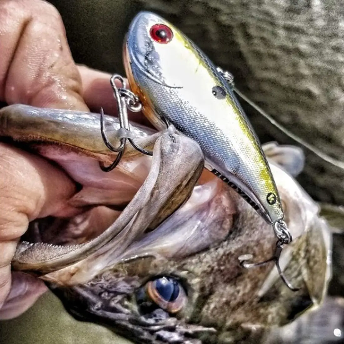 Knocker Bass Fishing Crankbait Bait
Knocker Bass Fishing Crankbait Bait