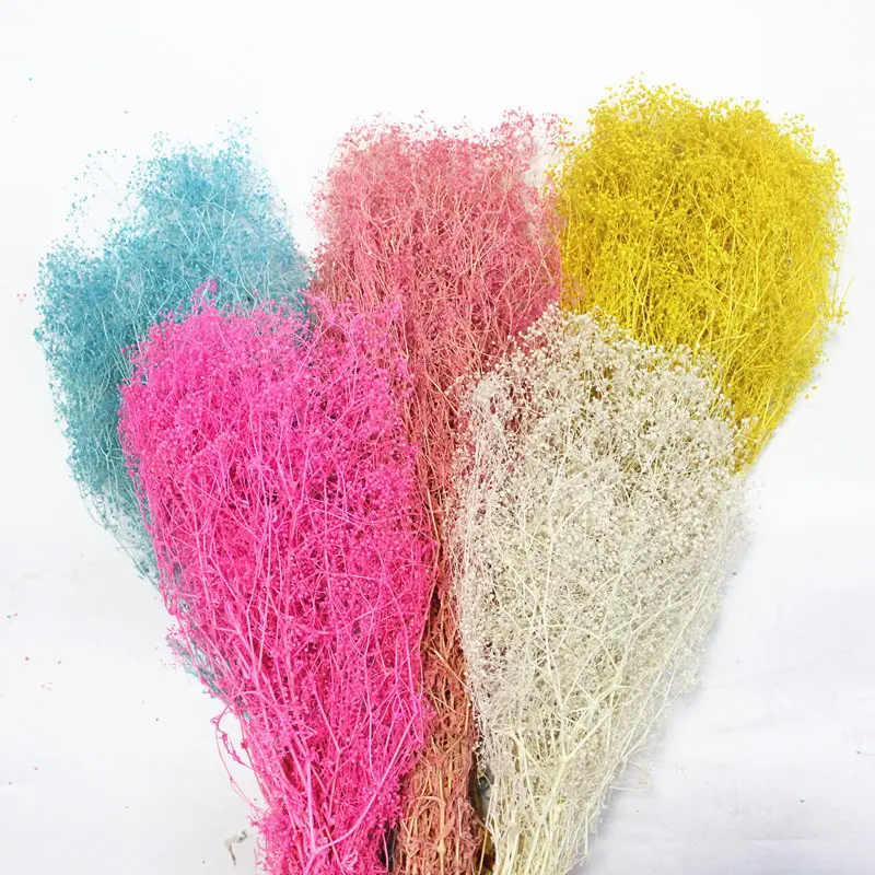 DIY Dry Gypsophile Flower Bouquet 50g Real Natural Fresh Forever Babysbreath Dried Preserved Baby breath Flowers For Home Decor
DIY Dry Gypsophile Flower Bouquet 50g Real Natural Fresh Forever Babysbreath Dried Preserved Baby breath Flowers For Home Decor