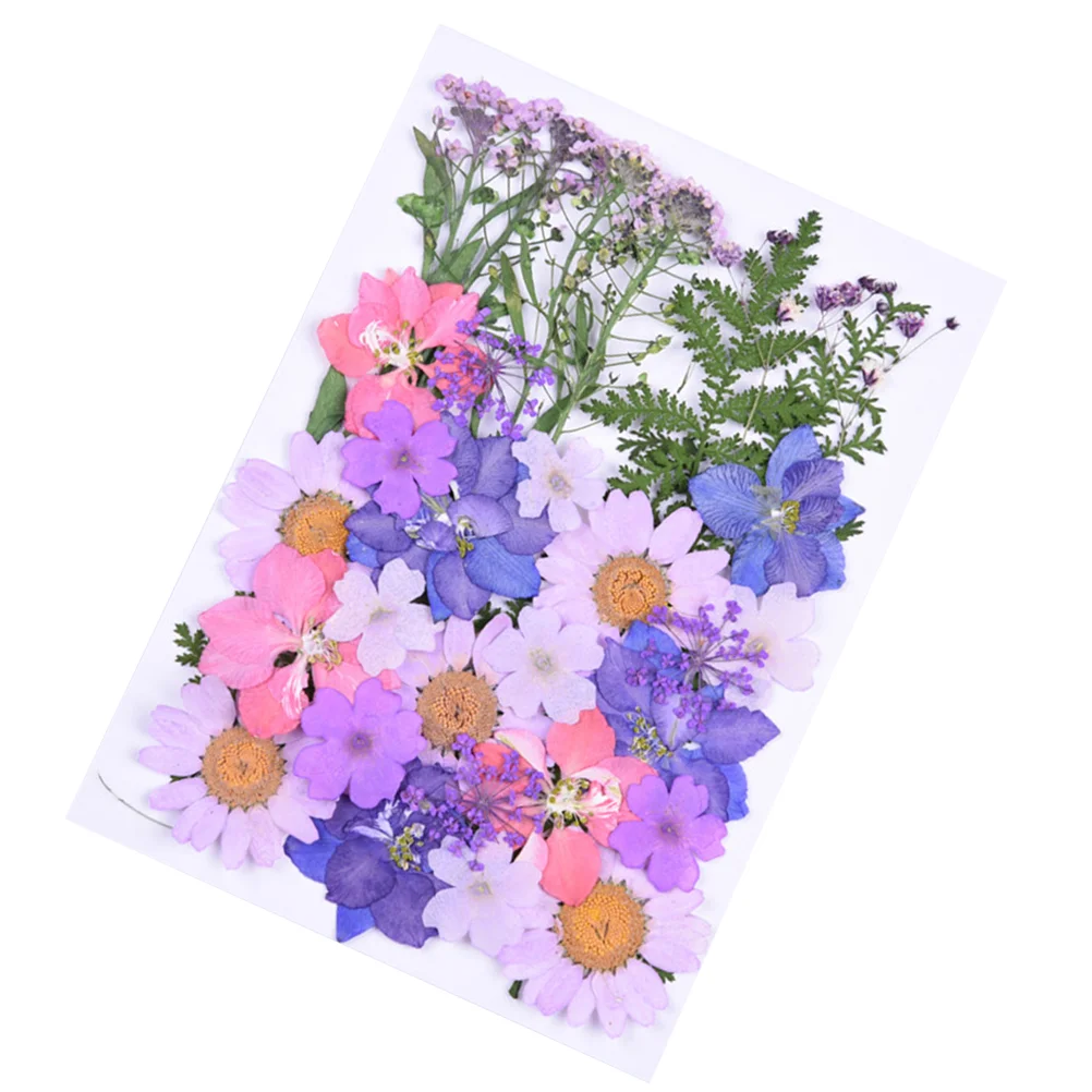 Flowers Flower Driedpressed Artificial Preservednail Decorations Diy Arrangements Dry Natural Sticker 3D Resin Charm Ornaments
Flowers Flower Driedpressed Artificial Preservednail Decorations Diy Arrangements Dry Natural Sticker 3D Resin Charm Ornaments