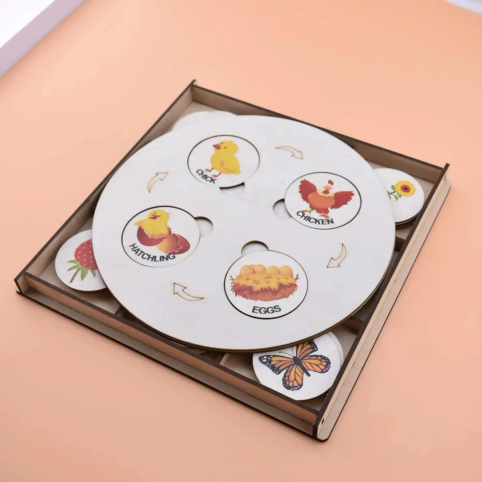 Life Cycle Tray Jigsaw Puzzles Animal Growth Cycle for Gift Preschool Infant
Life Cycle Tray Jigsaw Puzzles Animal Growth Cycle for Gift Preschool Infant