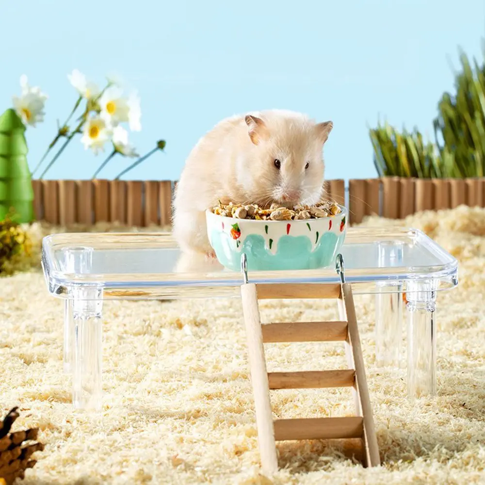 Comfortable Golden Bear Landscaping Daily Necessities Hamster Platform Relieve Boredom Play House Elf Platform
Comfortable Golden Bear Landscaping Daily Necessities Hamster Platform Relieve Boredom Play House Elf Platform