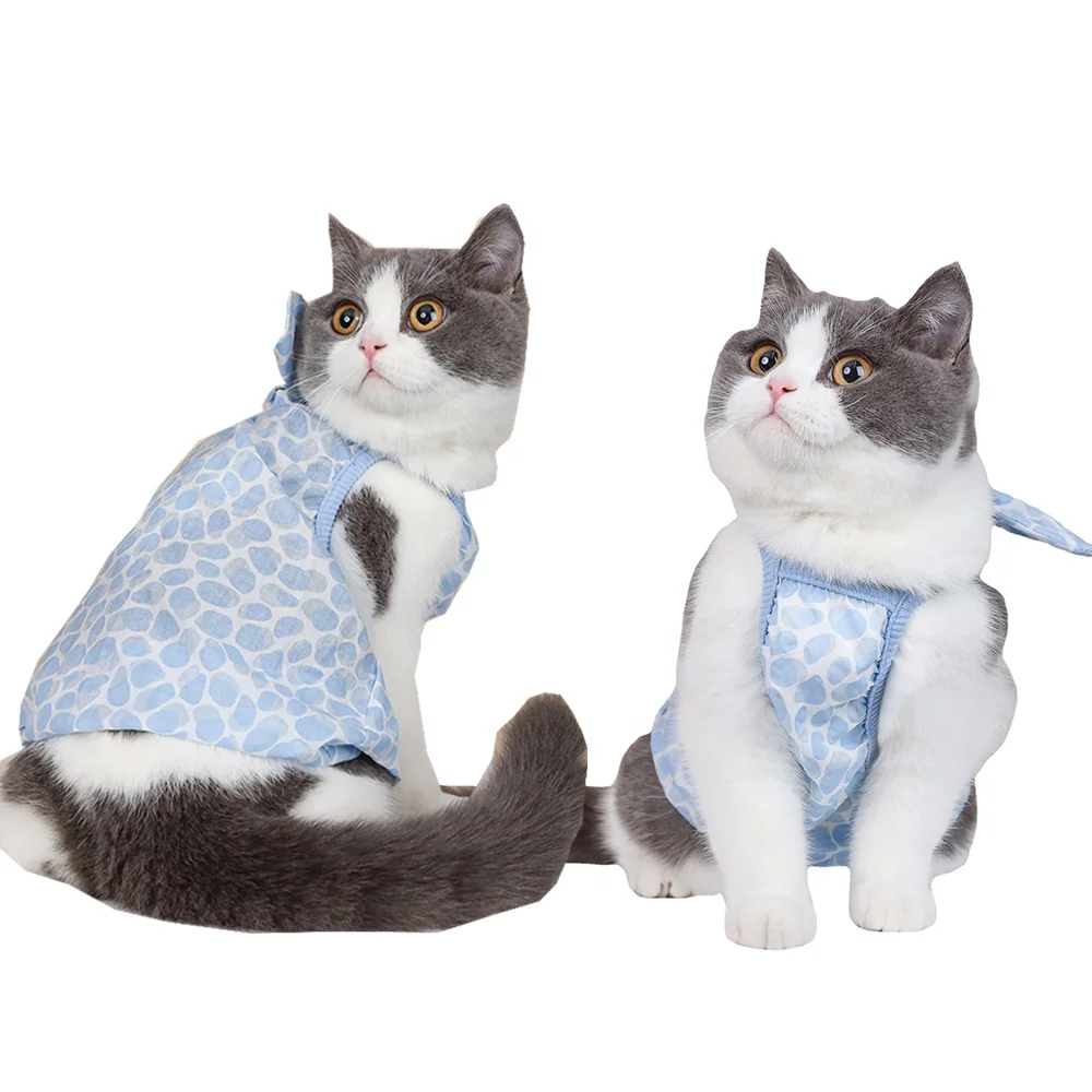 TawneyBear Dog Dress Spaghetti Strap Square Neck Cat Skirt Clothes for Small Medium Pet Sphynx Dachshund Pomerania
TawneyBear Dog Dress Spaghetti Strap Square Neck Cat Skirt Clothes for Small Medium Pet Sphynx Dachshund Pomerania