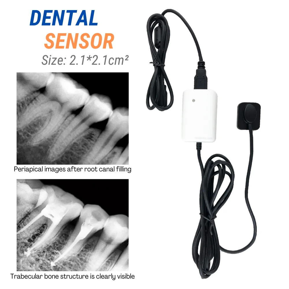 Dentists Goods Dental X-ray Portable Sensor Rx Intra Oral Camera Digital Sensor Radio X Ray Radiovisograph Positioner HD Image
Dentists Goods Dental X-ray Portable Sensor Rx Intra Oral Camera Digital Sensor Radio X Ray Radiovisograph Positioner HD Image