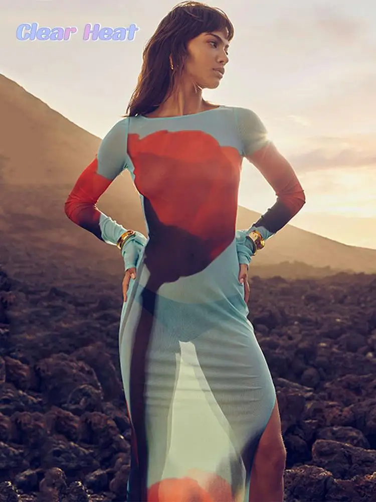 Woman Printed Mesh See Through Split Dresses Fashion Elegant O Neck Long Sleeve Dress 2023 Female Night Party Club Vestidos 
Woman Printed Mesh See Through Split Dresses Fashion Elegant O Neck Long Sleeve Dress 2023 Female Night Party Club Vestidos